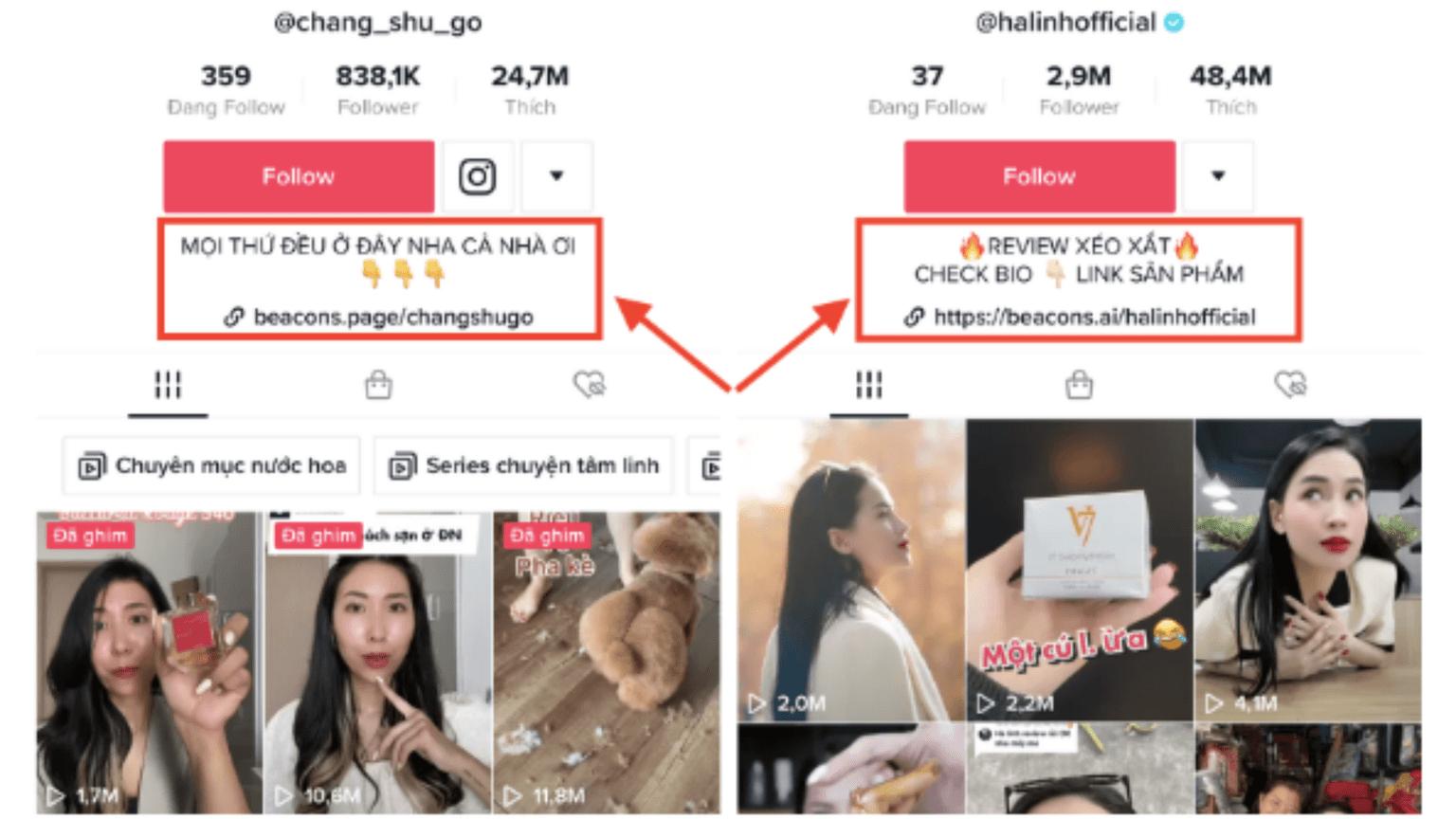 Hướng dẫn cách gắn link bio trên Tiktok đơn giản ai cũng có thể làm được