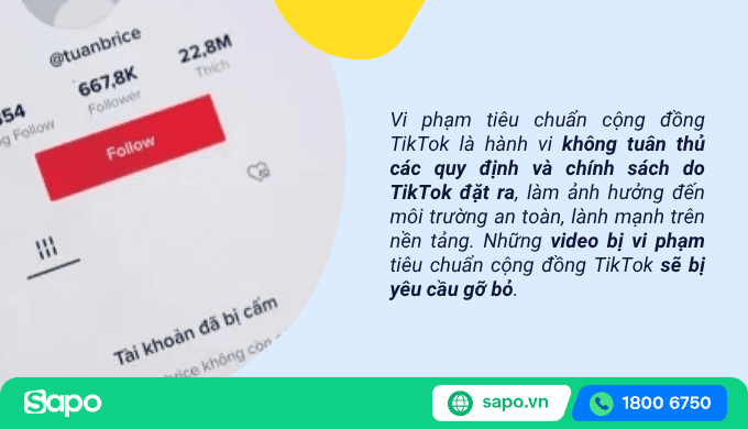 Kháng Cáo Kênh TikTok Bị Khóa: Quy Trình và Bí Quyết Thành Công.